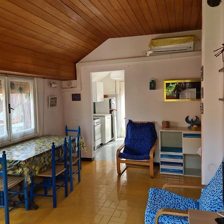 Verde Mare Aptm - Rooftop Terrace - Near Sea- A.C. Монтеросо ал Маре Екстериор снимка